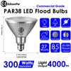 EdisonPar Full-Glass PAR38 LED Flood Light Bulbs Outdoor/Indoor Equivalent 300