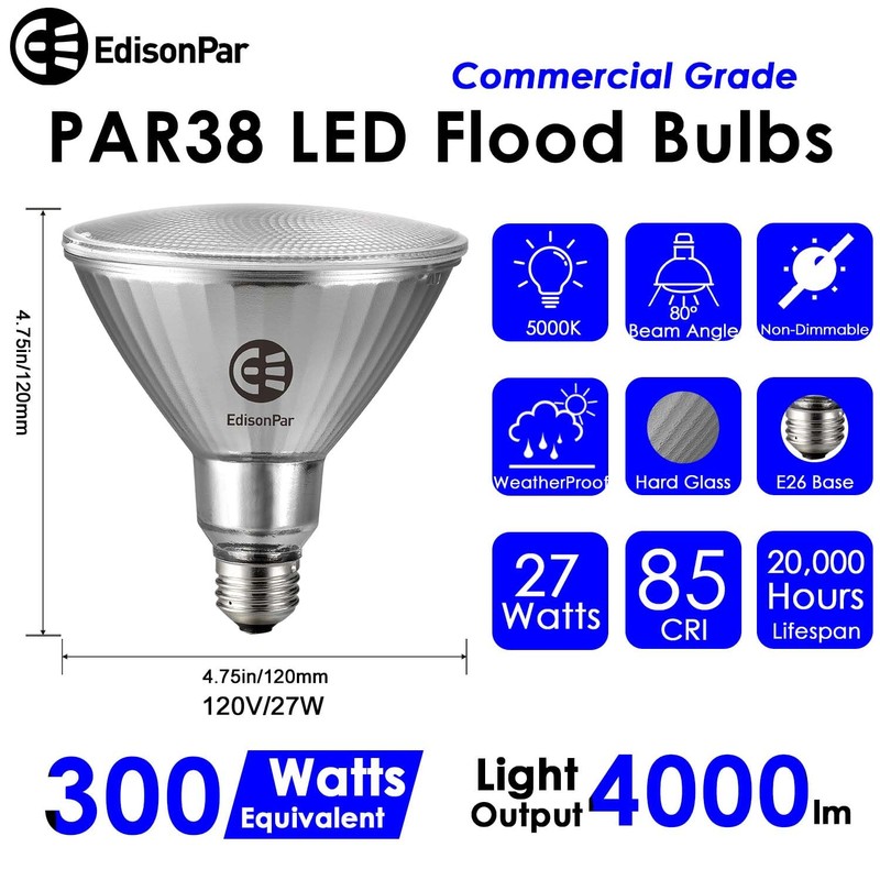 EdisonPar Full-Glass PAR38 LED Flood Light Bulbs Outdoor/Indoor Equivalent 300
