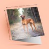 1 x Greeting Card Rhodesian Ridgeback Dog - Blank Birthday