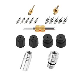 Mtsooning Cap & Valve Seal Kits Air Conditioning Valve Core Set AC Service Valve with Removal Tool R12 to R134a Conversion Kit Car & HVAC AC System Charging Port