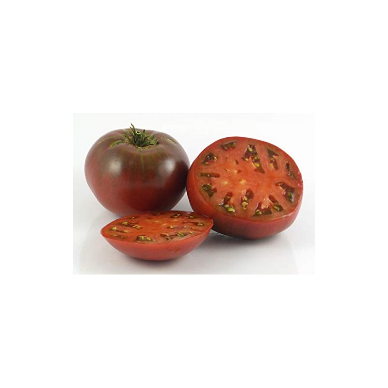 Faelan's First Snow Variegated Cherokee Purple Heirloom Tomato Premium Seeds