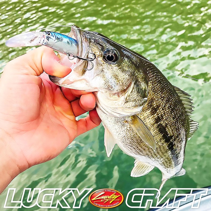 Lucky Craft Staysee 90SP Version 2 Bait (Ghost Minnow, 3-1/2-Inch)