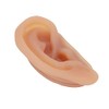 Modelo de Oreja de Silicona, para Práctica de Acupuntura y