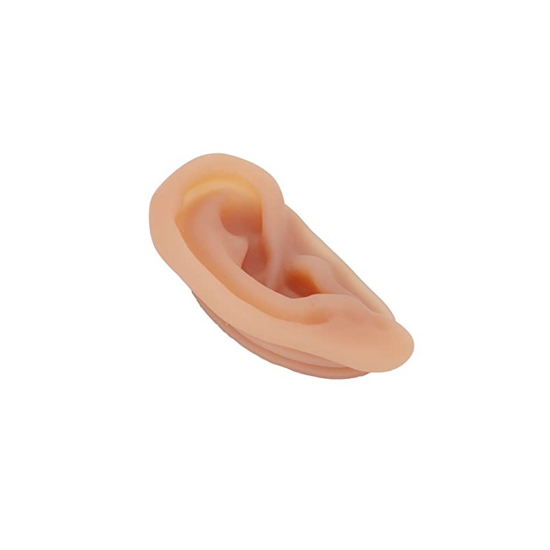 Modelo de Oreja de Silicona, para Práctica de Acupuntura y