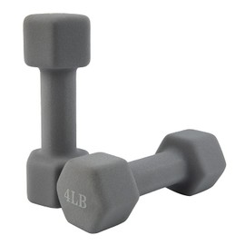 Saorzon Dumbbells Set of 2 Exercise Fitness Dumbbell for Home Gym Free Weights Hand Hex Dumb Bells Gray 4LB