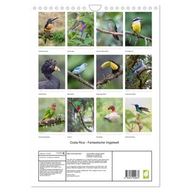 Costa Rica - Fantastische Vogelwelt (Wandkalender 2025 DIN A4 hoch), CALVENDO Monatskalender [Calendar] Kevin Eßer