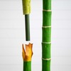 Nearly Natural 9ft. Artificial Double Stalk Golden Cane Palm Tree