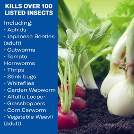 BioAdvanced Vegetable and Garden Insect Spray, Concentrated Insecticide, 32-Ounce