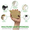AIRNEX Natural Kitchen Sponges (6 Pack) - Biodegradable Cellulose &