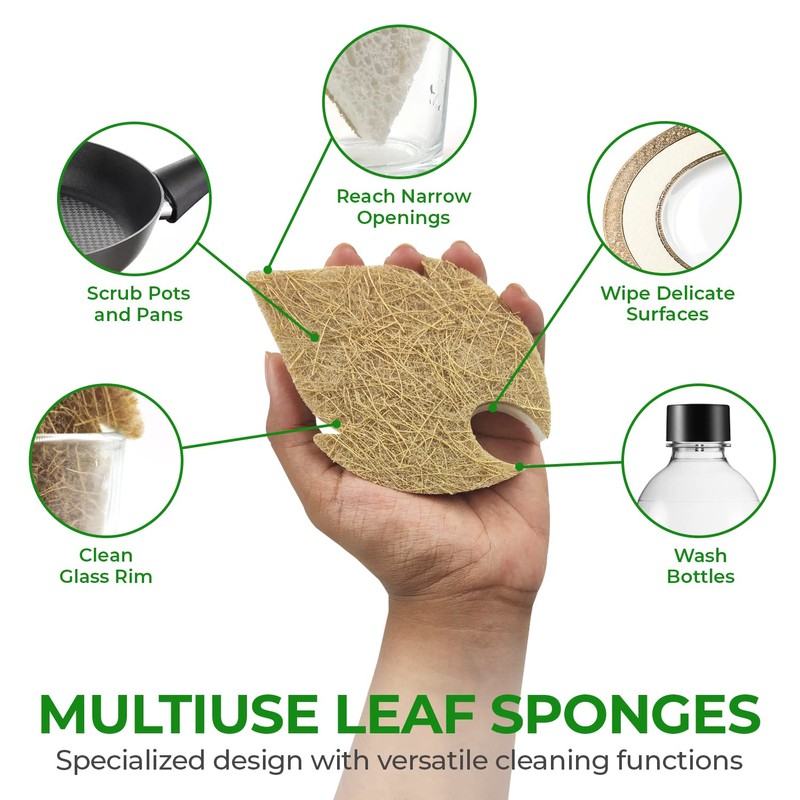 AIRNEX Natural Kitchen Sponges (6 Pack) - Biodegradable Cellulose &