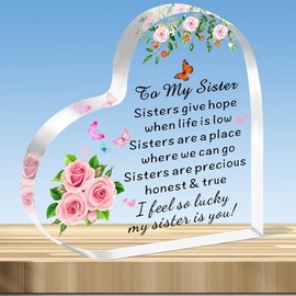 JMIMO Sister Gifts Acrylic Sister Birthday Christmas Graduation Gifts Sister Keepsake - Sister Give Hope When Life Is Low Present