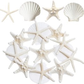 JQAQJU Starfish and Scallop Shells for Crafts 12PCS, Large Seashells 3"-4" Bulk Sea Shells for Decor Kids Beach Theme Party Painting Wall