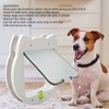Pet Flap Door 4 Way Locking Noiseless Weather Resistant Cat