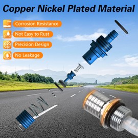 KPALAG EFI Fuel Check Valve Assembly Compatible with Harley Davidson Road King FLHR/Road Glide FLTR/Electric Glide FLHT/Street Glide FLHX 2003-2007 Replace# 62228-03