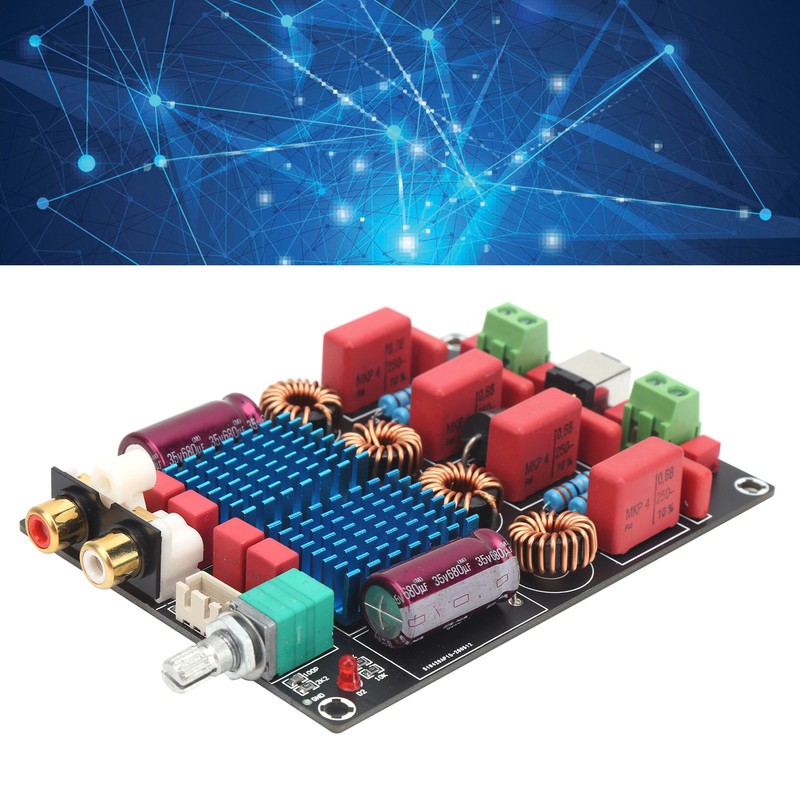 Digital Power Amp Board Deluxe Dual Chip 2x100W Amplifier PCB