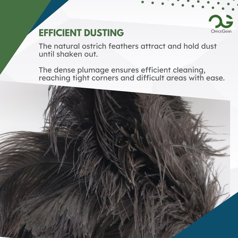 OfficeGear Retractable Genuine Ostrich Feather Duster [26-36cm] - Convenient Office