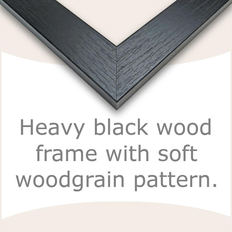 Framed Print 9x12: Andrew Jackson, 1833