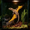 KASHUNUO Reptile Climbing Tree Branch: Resin Wood Decor for Terrarium