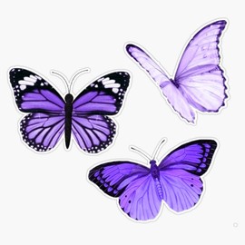 Purple Butterflies Bumper Sticker Vinyl Decal 5 inches