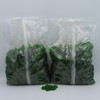 Beulah's Green Apple Gummy Bears, 10 Pounds, 1300 Pieces of