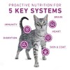 Purina ONE Plus Whole Body Support with Chicken Dry Cat