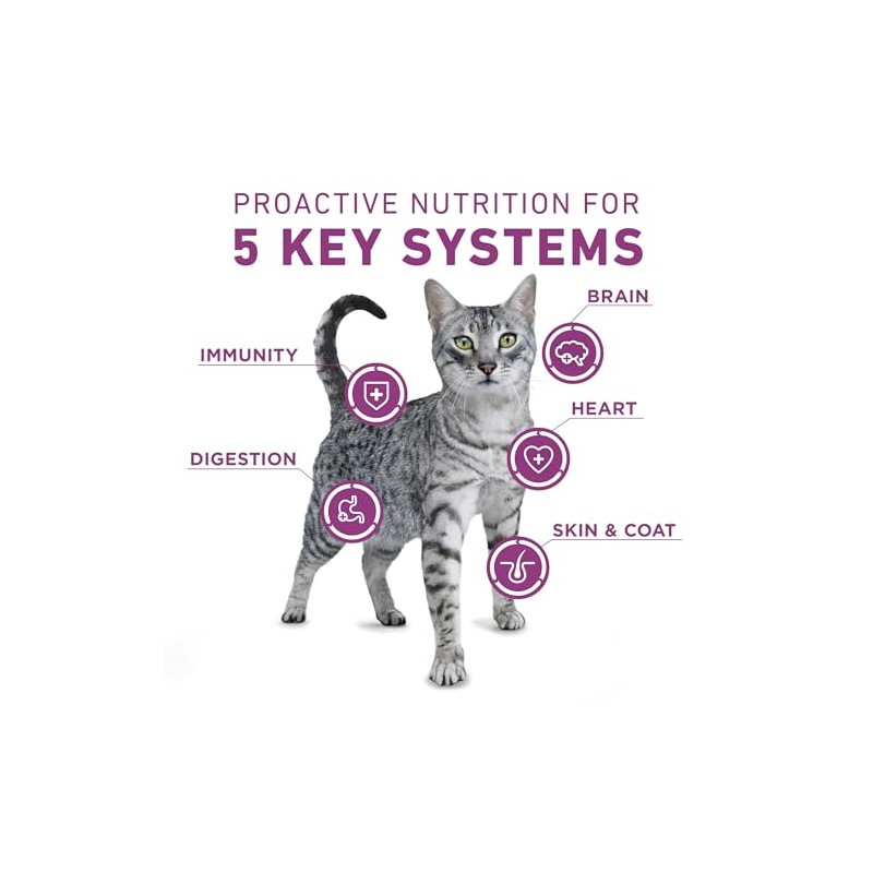 Purina ONE Plus Whole Body Support with Chicken Dry Cat