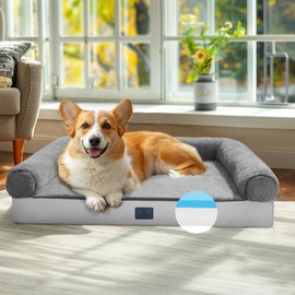 Veehoo Memory Foam Orthopedic Dog Beds Medium Size Dog- Washable Dog Bed with Removable Dutch Velvet Cover, Memory Foam Dog Bed with Sides-Non-Slip Dog Sofa Couch Bed for Medium Small Dogs, 29*20 in