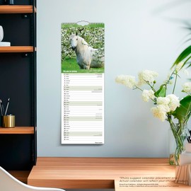 Horse Lovers | 2026 5.7 x 16.5 Inch (Hanging) Monthly Slimline Wall Calendar | BrownTrout | Animals Equestrian