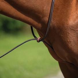 Schneiders Raised Standing Martingale with Fancy Stitching | Soft English Leather | Ample Adjustments | Stainless Steel Buckles | Color Havana | Cob Size