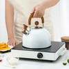 Whistle Kettle Stovetop Stainless Steel Foldable Handle Kitchen Supplies 2.5L