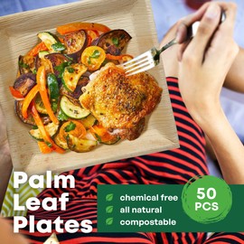 DISPOSABLE GREEN - Square Disposable Plates, Areca Leaf Serving Plates, Dinner Plates for Parties, Weddings, Catering, & More, Disposable Plates for Hot Food & Cold Food, 27L x 27W x 3D cm, 50-Pcs