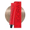 9-1 Igora Royal Extra Light Blonde Cendre 60 ml, 9-1