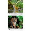 Tiger Magic Calendar for 2025 Format 10 cm x 10