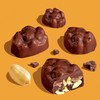 Milk Chocolate Peanut Clusters by Nutic | 1 Lb |