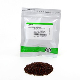 Golden Acre Cabbage Seeds: 4 Oz - Non-GMO, Heirloom Garden Seeds - Vegetable Gardening, Growing Microgreens