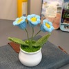 Joekaran Crochet Flowers Cute Little Potted Flower, Gift for Birthday,