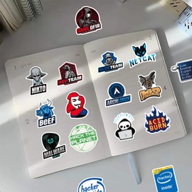 Hacker Stickers for Laptop(50 Pcs),Gift for Kids Teens Adults Girl, Hacker Waterproof Stickers for Water Bottle,Vinyl Stickers for Scrapbook,Journal,Dairy,Skateboard