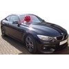 Hampabox GIANT CAR BOW (30cm diameter) + 3 METRES of