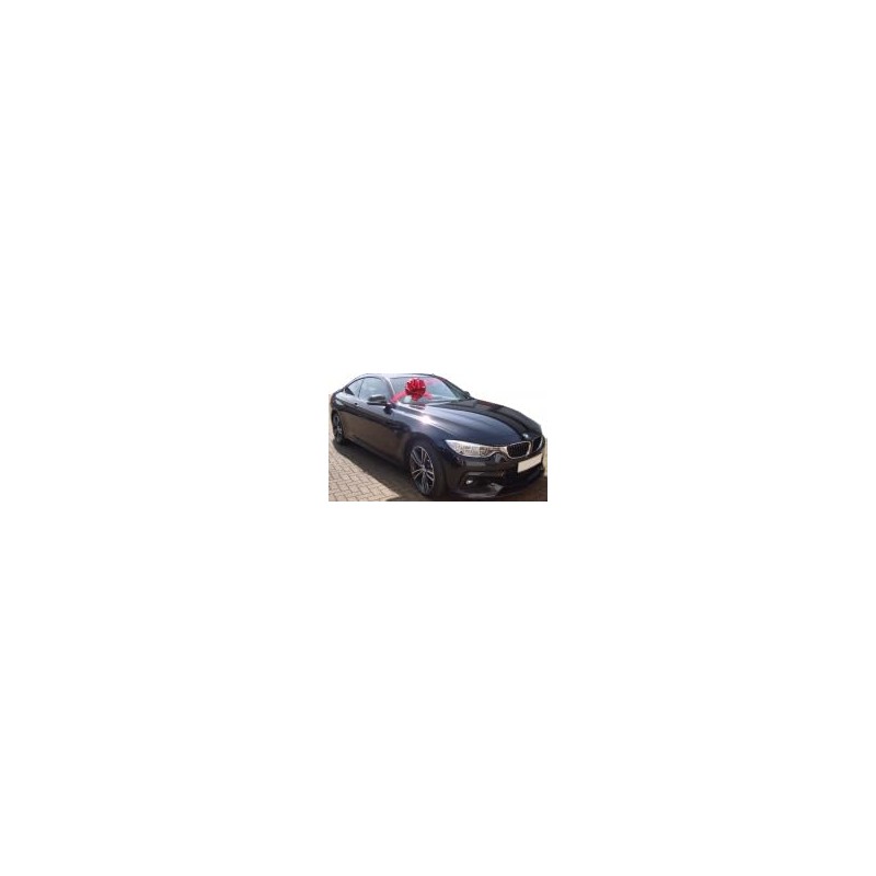 Hampabox GIANT CAR BOW (30cm diameter) + 3 METRES of