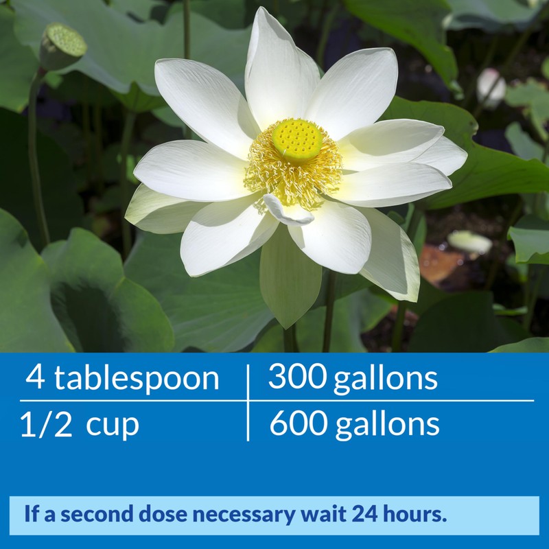 API POND ACCU-CLEAR Pond Water Clarifier 64-Ounce Bottle (142D)