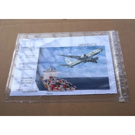 Premium 6.7'' x 10'' Resealable Adhesive Shipping Label/documents Pouches (50 Pack)