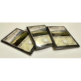 MTG Lord of the Rings (LTR) Basic Land Set Non-foil (10 cards, 1 of each style)