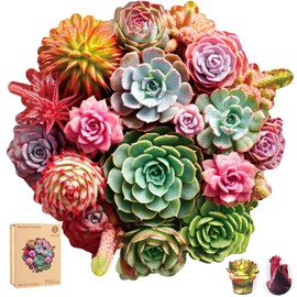 delobil Succulent Bouquet Wooden Puzzles for Adults, 200 Pieces Mandala Round Jigsaw Puzzles, Medium Size Unique Shaped Liberty Wood Puzzle Gift for Kids, Family Game 11.3'' x 10.5''
