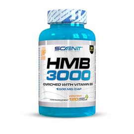 HMB 3000-3000 mg HMB Supplement Capsules with Vitamin B6 - HMB Capsules - HMB Pure - HMB Supplement - 120 Vegan Capsules