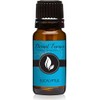 Eucalyptus Premium Grade Fragrance Oil - 10ml - Scented Oil