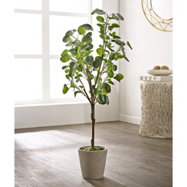 SAFAVIEH Home Collection Faux Artificial Decorative Polyscias Fruticosa 49-inch Potted Tree (Fully Assembled)
