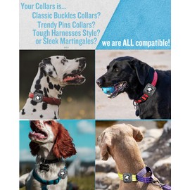 ONEONTA Dog Airtag Holder Waterproof | Dog Collar Airtag Holder - Dog Airtag Holder with Removable Buckle, Ultra Durable TPU, Lightweight, Compact Size, Fits 1", 1 1/4" Width Collar