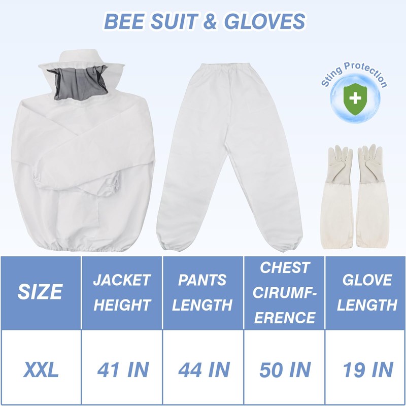 BeeTech Newest Windows 8 Frame Bee Hive Boxes Starter Kit