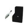 Honda OEM EU2000i Generator Tune Up Kit: (1) 17211-Z07-000, (1)