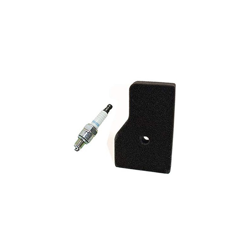 Honda OEM EU2000i Generator Tune Up Kit: (1) 17211-Z07-000, (1)